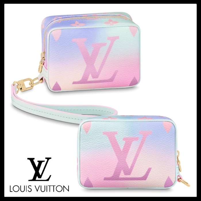 新規購入 Louis Vuitton トゥルース・ワピティ ポーチ 新規購入 Louis Vuitton トゥルース・ワピティ ポーチ