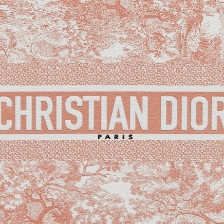 【Dior】 DIORTRAVEL IPHONE 13 PROケース トワル ドゥ ジュイ ...