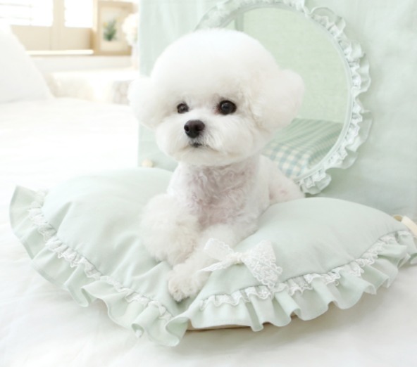 格安販売の
【ITS DOG】Darami In The Forest Frill Yard★Mサイズ★2color ペットハウス・ケージ 格安販売の
【ITS DOG】Darami In The Forest Frill Yard★Mサイズ★2color ペットハウス・ケージ
