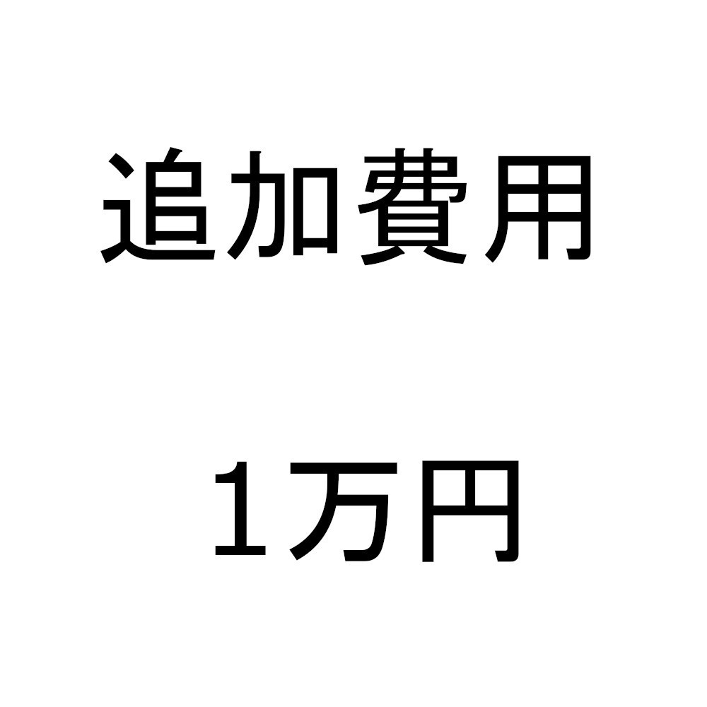 追加費用 1万円