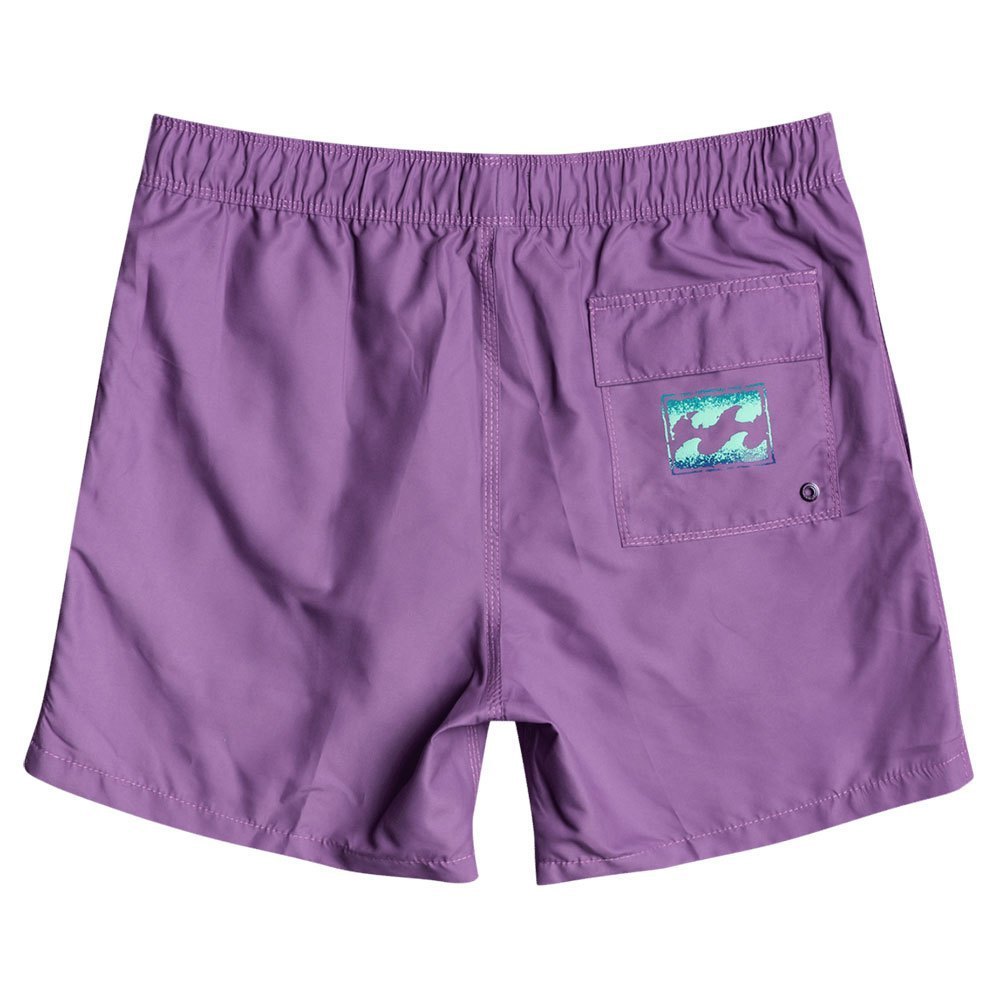 送料関税込み Billabong 水泳パンツ All Day Heritage ロゴ 海水