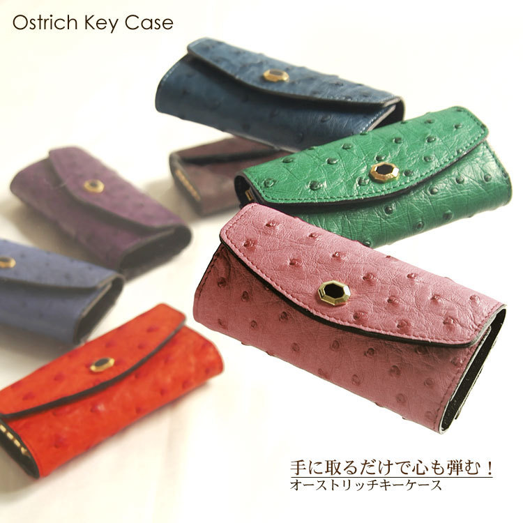 j-whiteオーストリッチ5連キーケースゴールド金具