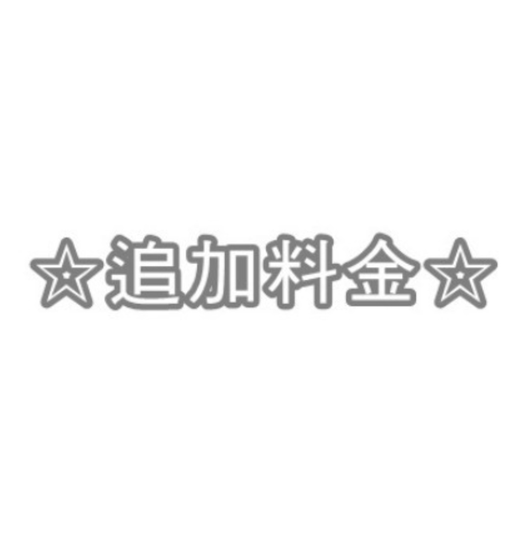 ☆追加料金ページ☆