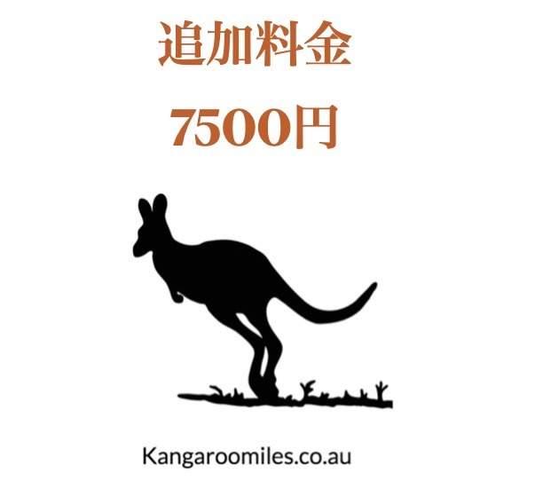 追加料金 7500円