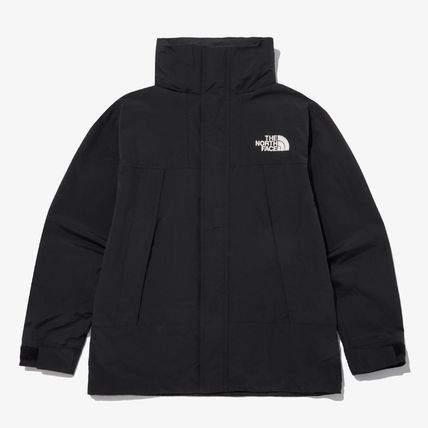 THE NORTH FACE(ザノースフェイス) マウンテンパーカー(メンズ) - 海外 ...