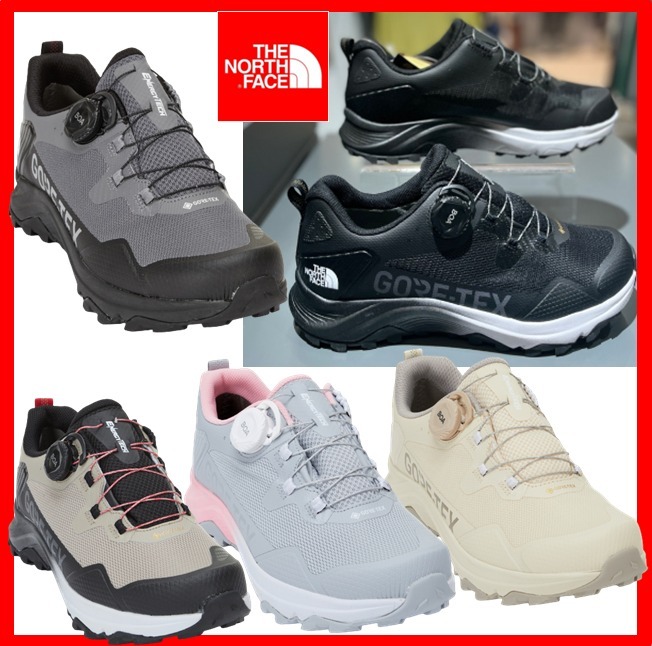 ★22AW★【THE NORTH FACE】★ENERGY TECH BOA GTX★