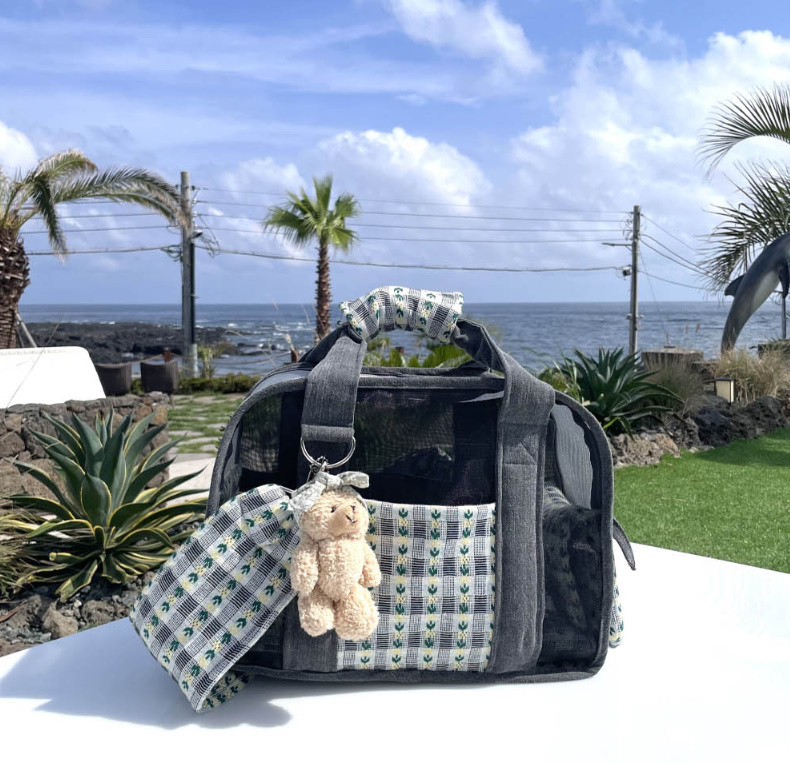 《韓国BABIANA》AJI BAG SEE THROUGH(4色) Mサイズ シースルー