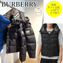 Burberryxダウンジャケット(メンズ) 人気アイテムランキング【BUYMA】