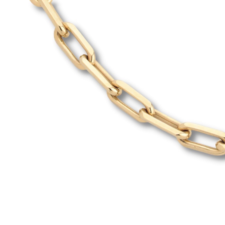 上品さ際立つ【Cartier】サントス ドゥ カルティエ ネックレス