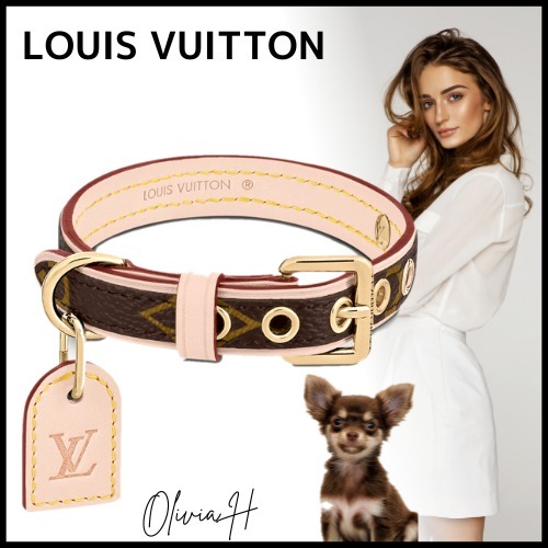 Louis Vuitton Monogram Leather Dog Collar Leash