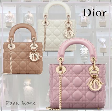 日本未入荷 Dior x バッグ・カバン(レディース) - 海外通販のBUYMA