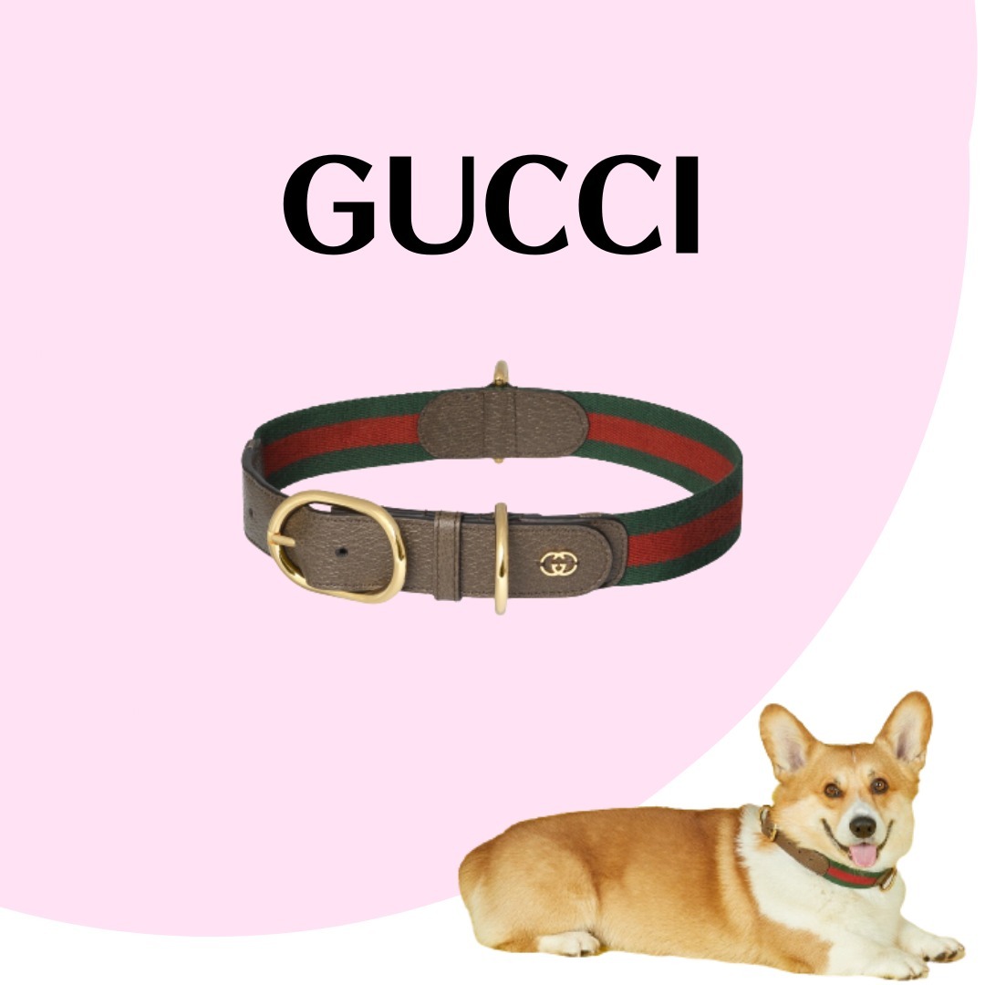 ❤超目玉枠❤ GUCCI エクストララージ ペット カラー その他 | kalhesa.it