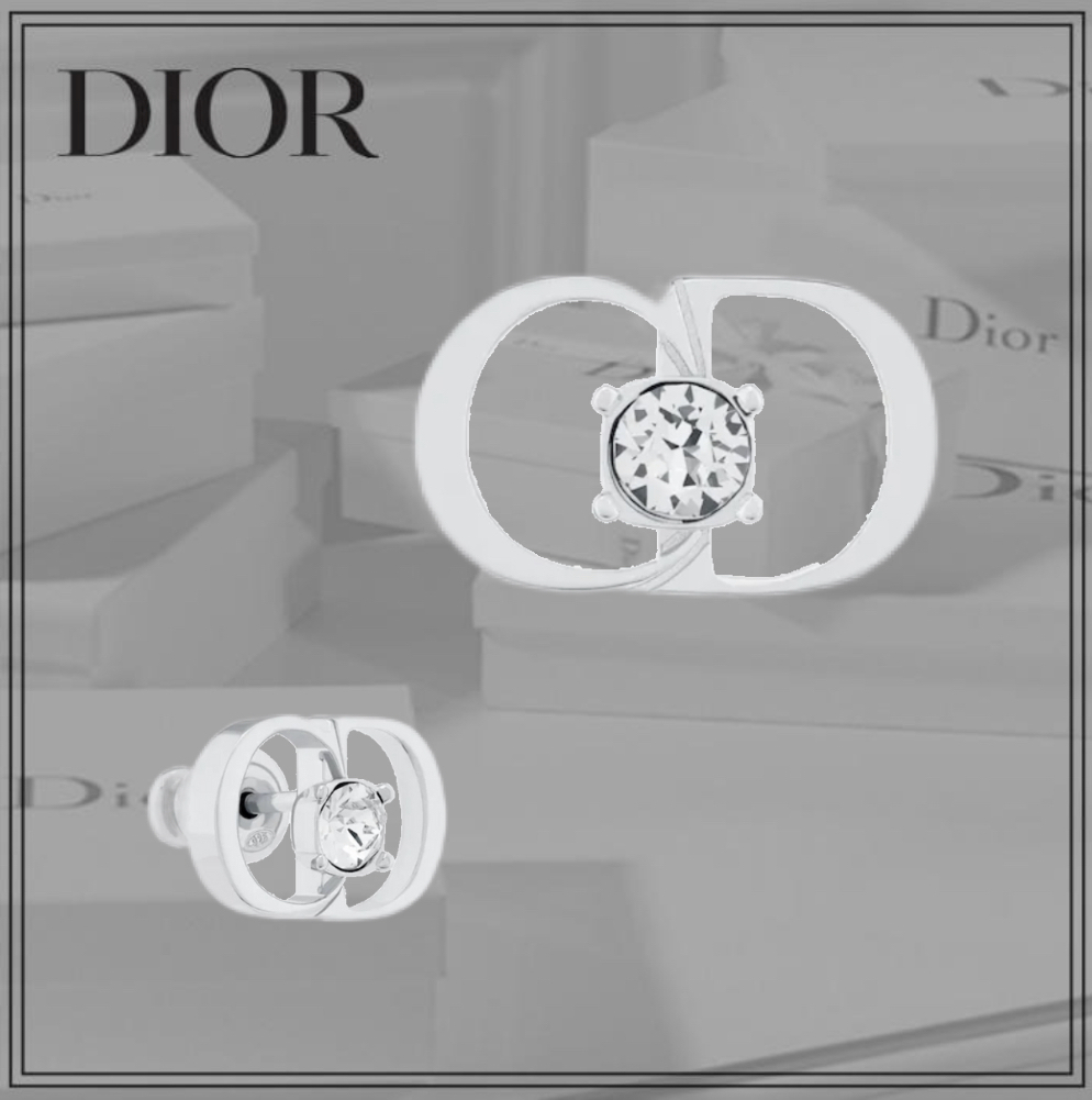 お買得】 新作 DIOR CD ICON ピアス erino.reg.novene.ru