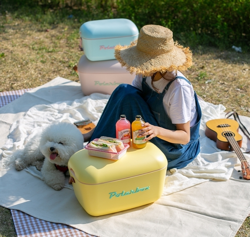 韓国 キャンプ用品 クーラーボックス 2タイプ 20L ポップカラー