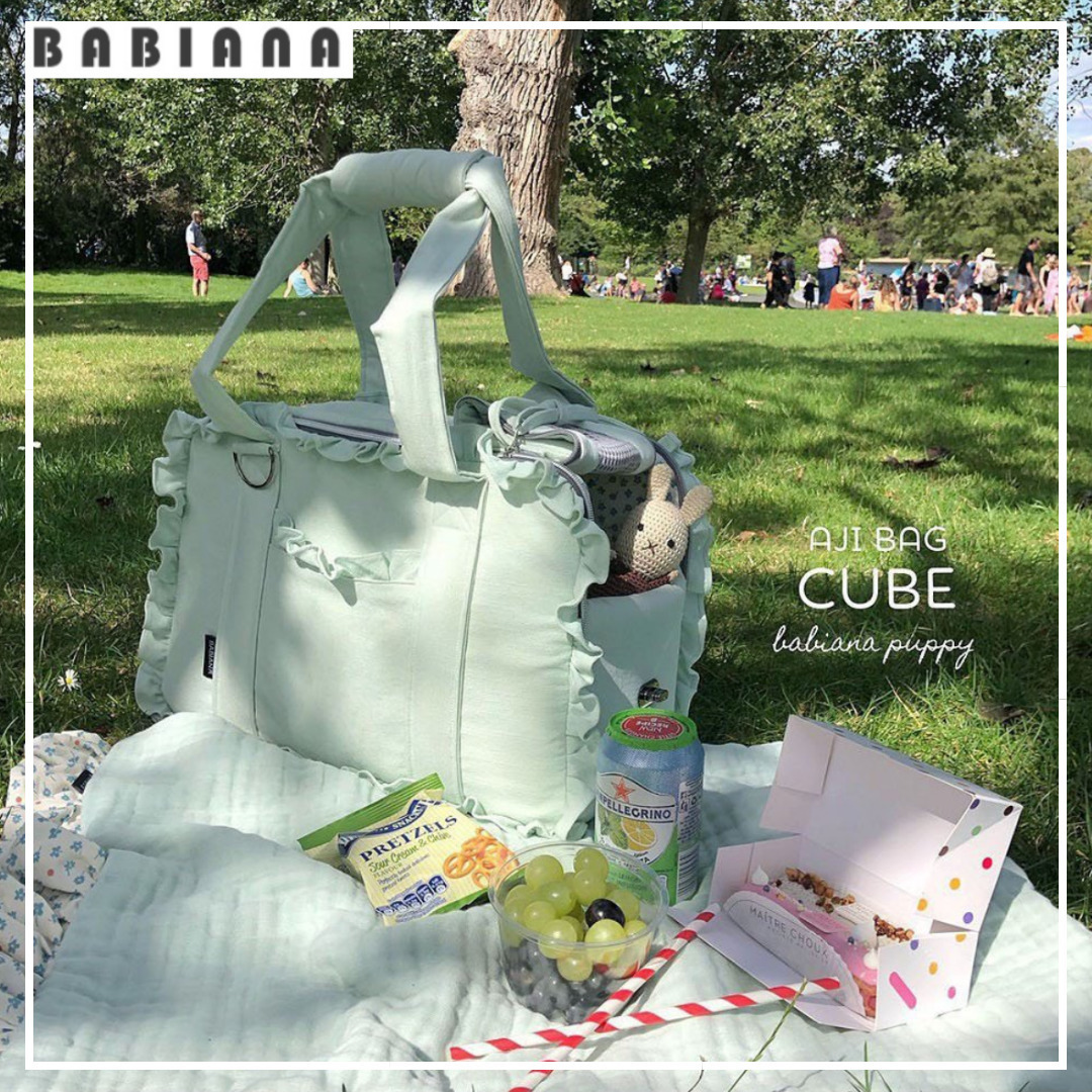 《韓国BABIANA》AJI BAG CUBE (clover) Mサイズ 犬用キャリー