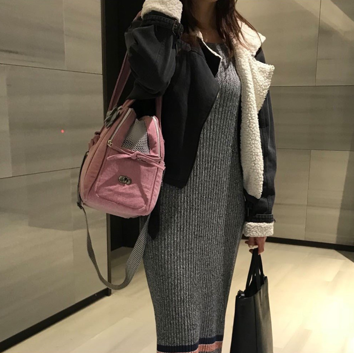 《韓国BABIANA》AJI BAG CUBE (rose) Mサイズ 犬用キャリー