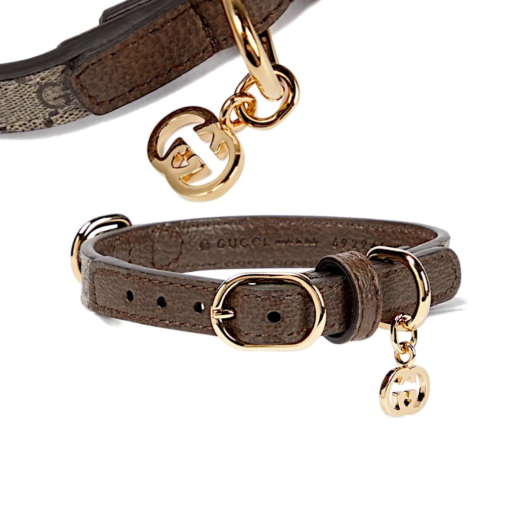 ★日本未入荷★22AW★GUCCI★Collare per cane ドッグ カラー