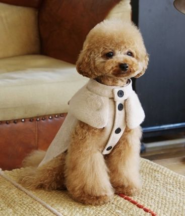 ワンピース・ドレス ペット(犬猫)服(ライフスタイル) - 海外通販のBUYMA