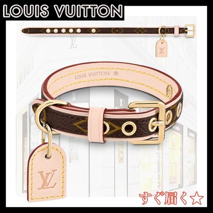 Louis Vuitton x ペット用品(ライフスタイル) - 海外通販のBUYMA