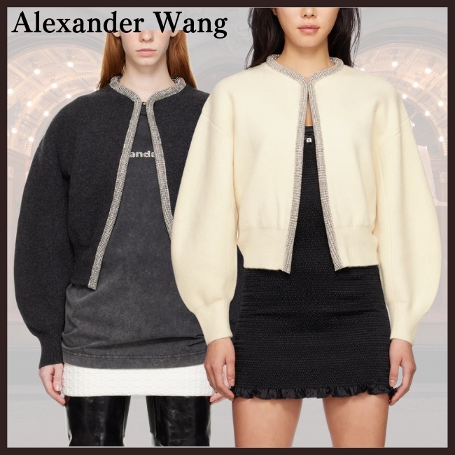 新品・国内正規品 関税・送料込【Alexander Wang】クリスタル トリム