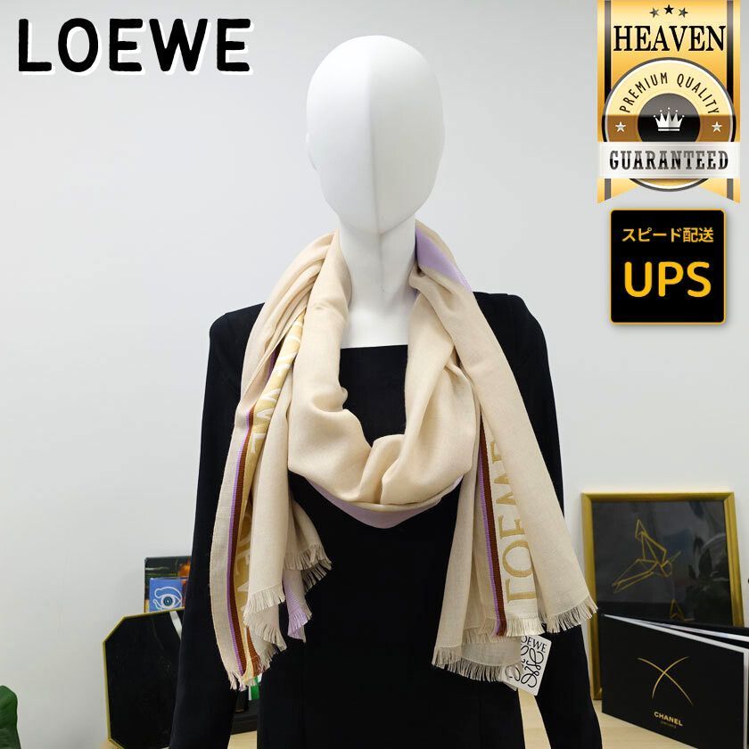 １点限り！VIPセール★累積売上総額第１位！┃LOEWE★F811251X02