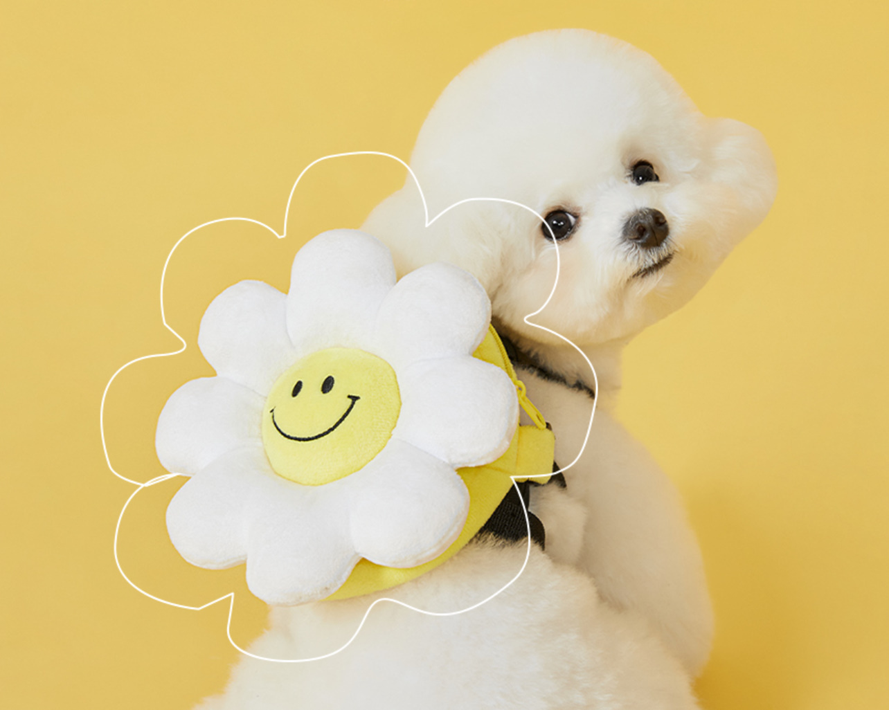 《韓国 168cm》smile flower 犬用リュック＆リードセット 散歩用