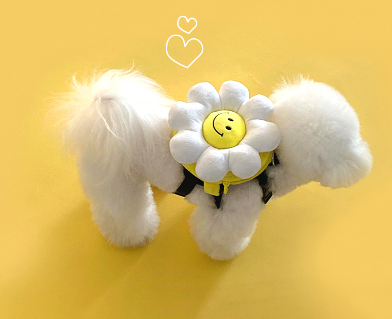 《韓国 168cm》smile flower 犬用リュック＆リードセット 散歩用