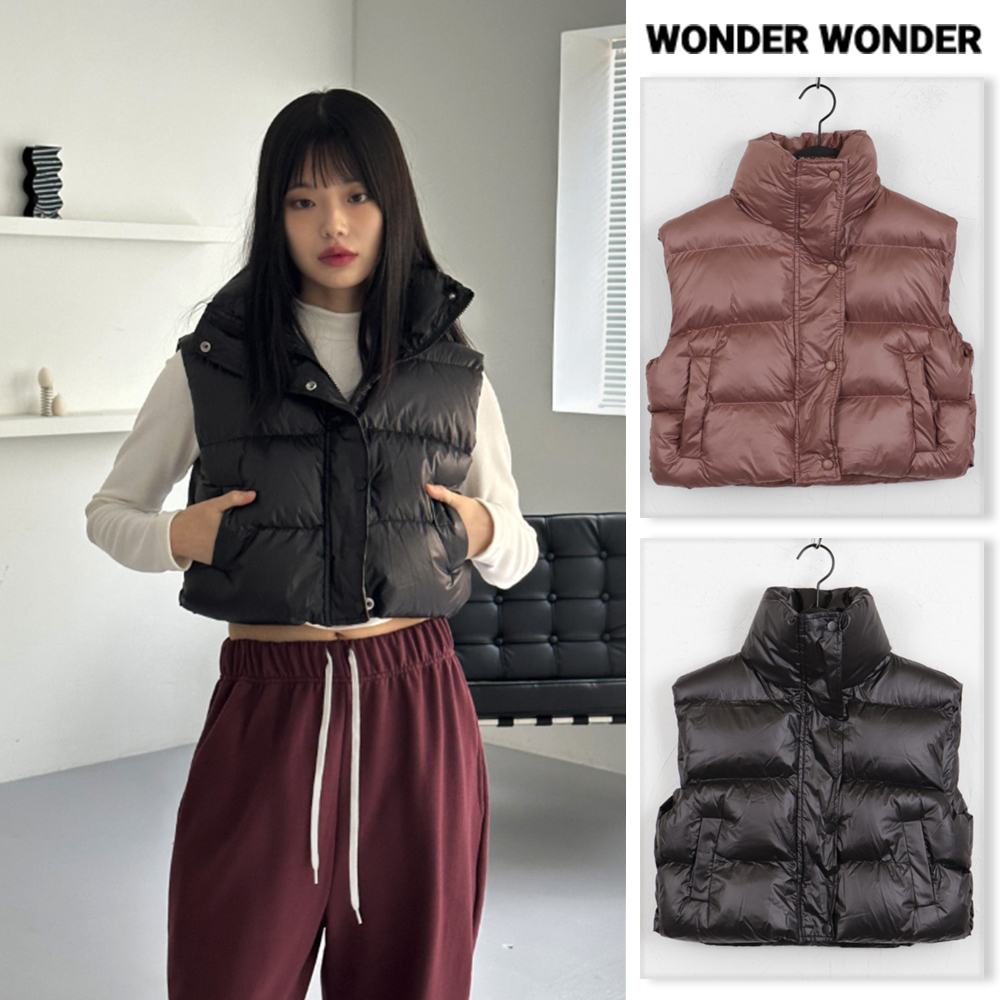【WONDER WONDER】Fitty High Neck Glossy Crop Vest Padding Jp