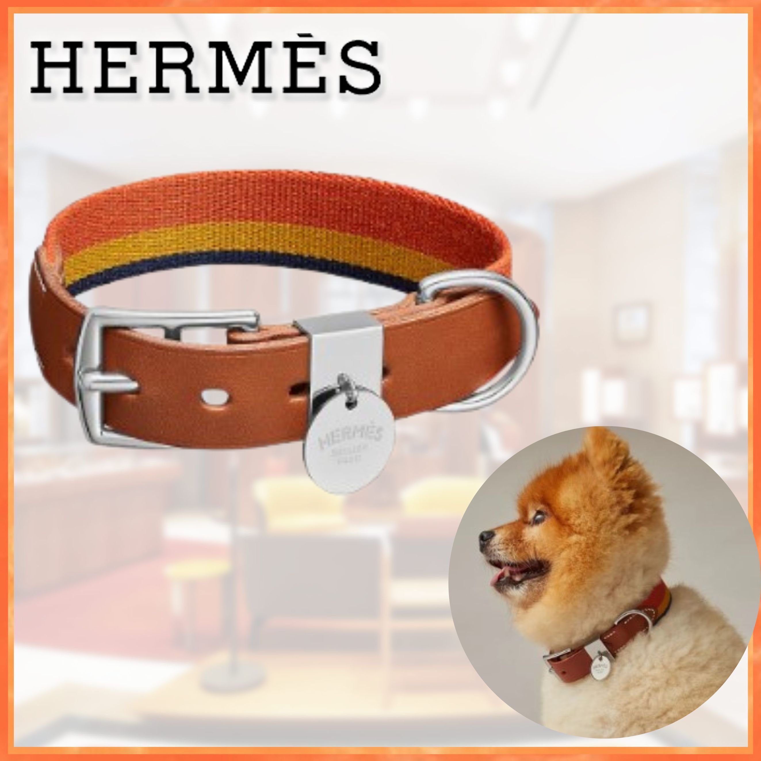 取扱店舗限定アイテム 【新品レア】HERMESエルメス 犬用首輪 小型中型