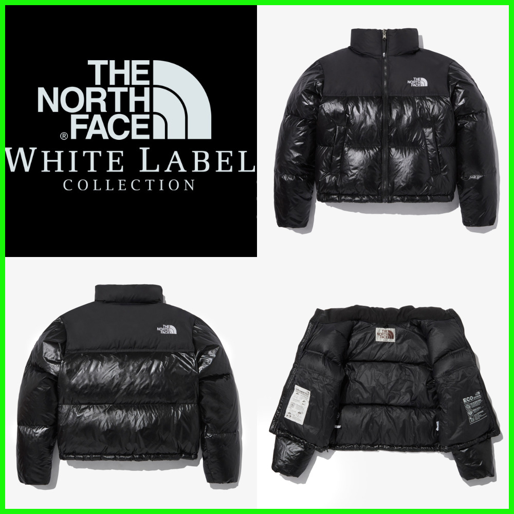 [ノースフェイス] ★W'S NOVELTY NUPTSE DOWN JACKET SP★
