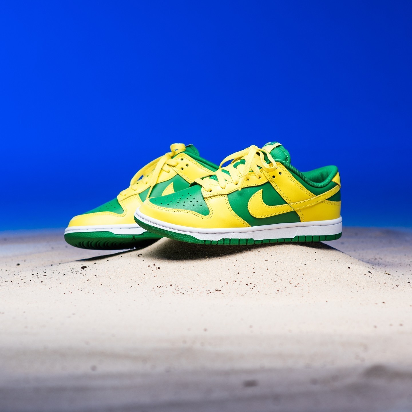 Nike DUNK Unisex Street Style Plain Logo Sneakers (DV0833-300)