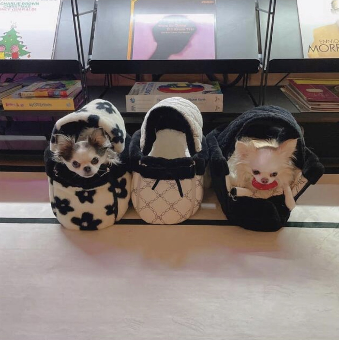 《韓国BABIANA》AJI BAG TOTE COCO Sサイズ 犬用キャリー