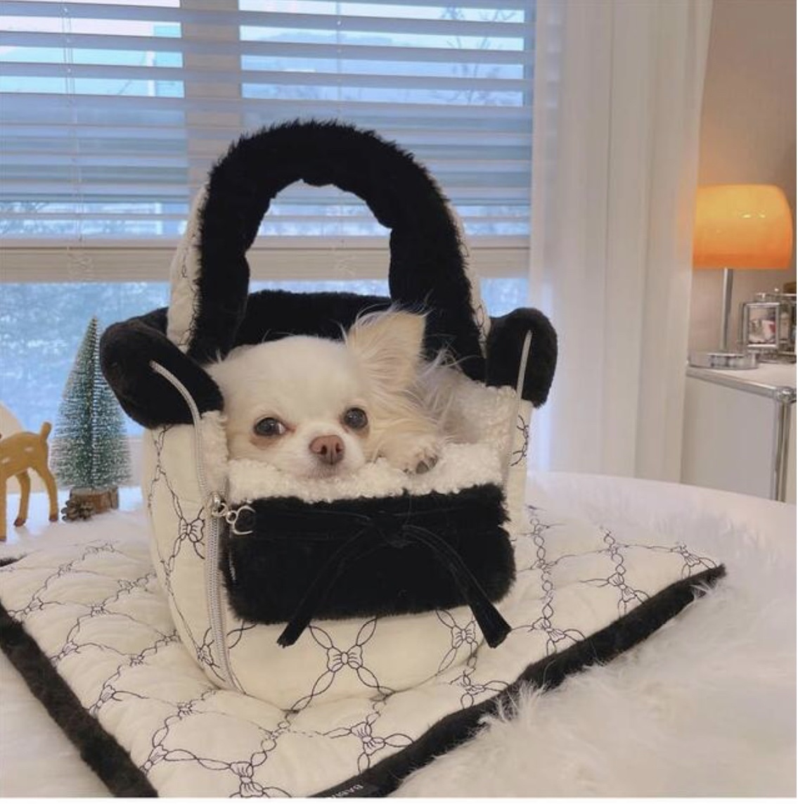《韓国BABIANA》AJI BAG TOTE COCO Sサイズ 犬用キャリー