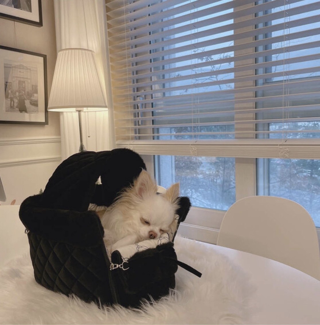《韓国BABIANA》AJI BAG TOTE 3色 Sサイズ ブランケット＆肩紐付