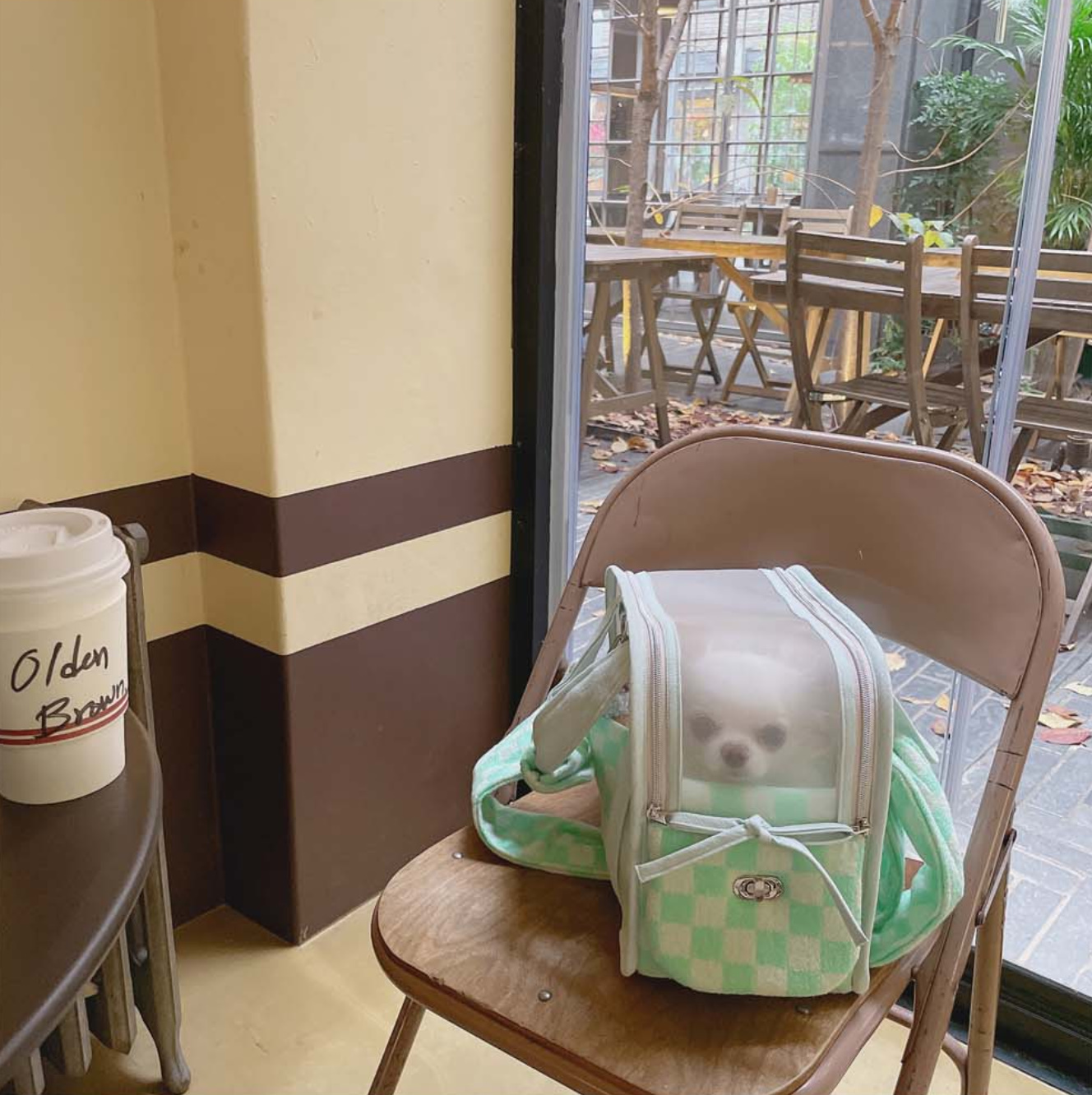 《韓国BABIANA》AJI BAG SEE THROUGH MINT Mサイズ
