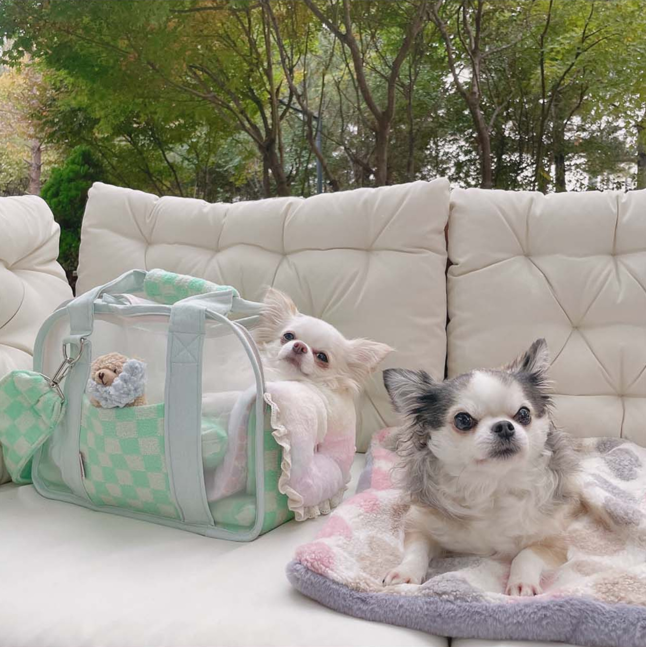 《韓国BABIANA》AJI BAG SEE THROUGH MINT Mサイズ