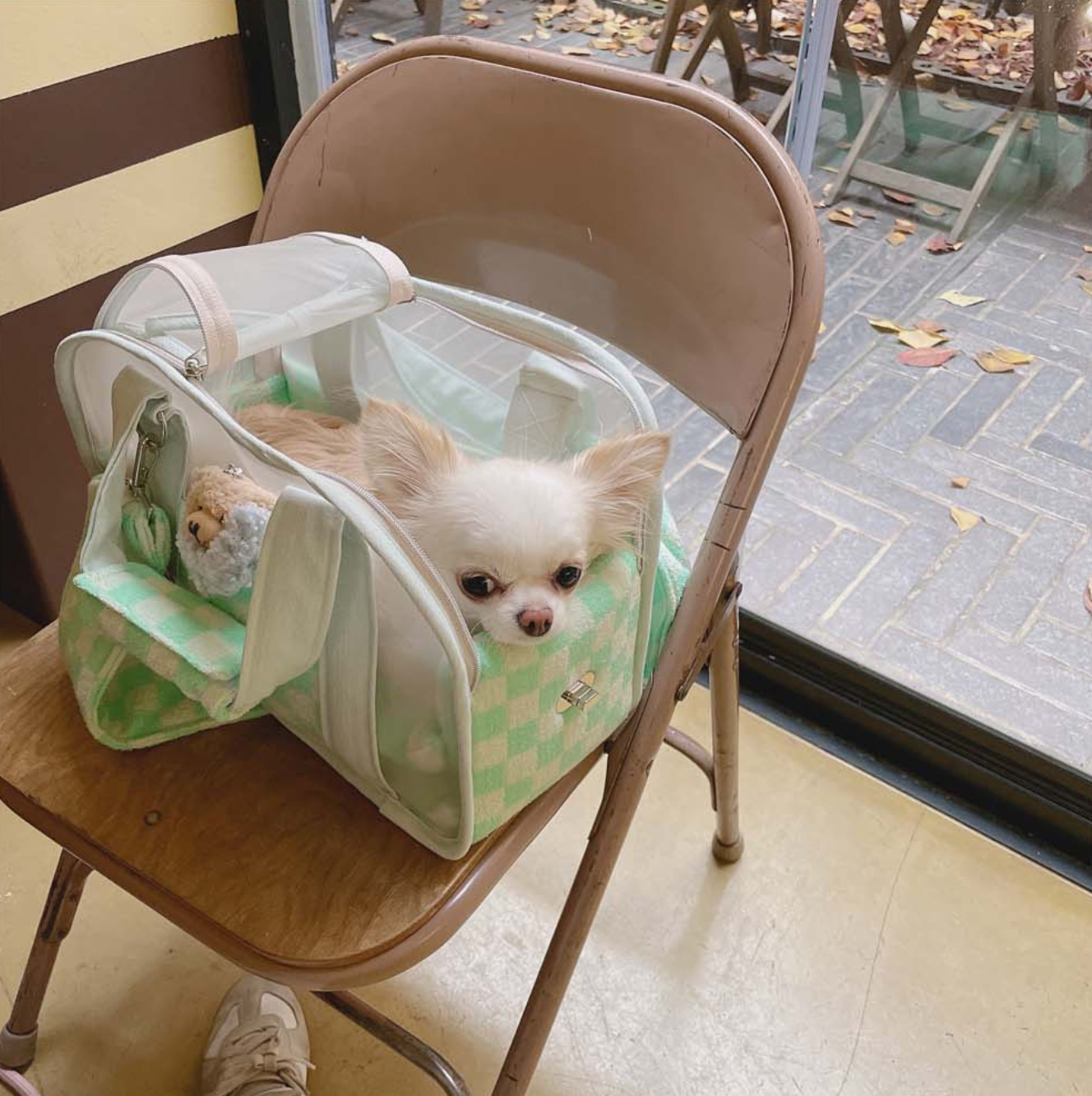 《韓国BABIANA》AJI BAG SEE THROUGH MINT Mサイズ