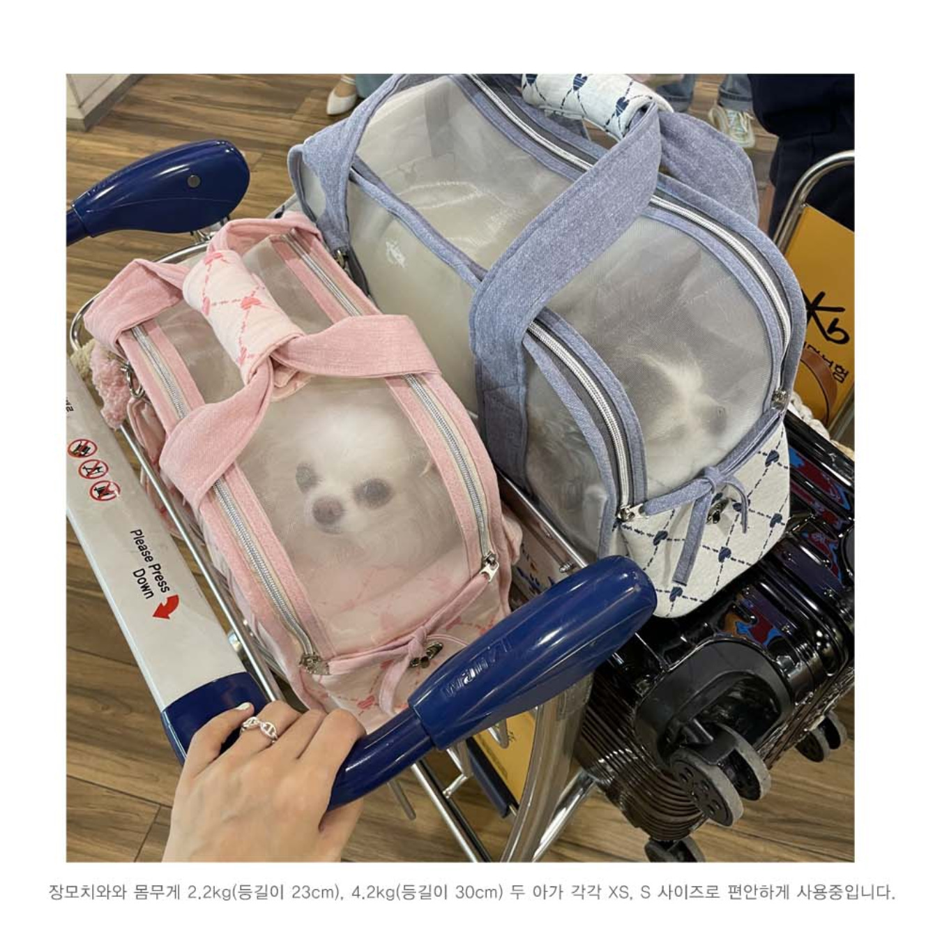 《韓国BABIANA》AJI BAG SEE THROUGH MINT Mサイズ