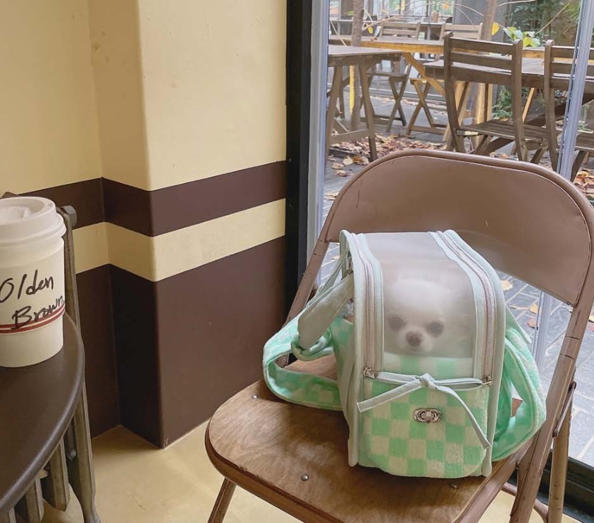 BABIANA aji bag シースルーシリーズ/M ショルダー型【全7色】 BABIANA aji bag シースルーシリーズ/＋S ショルダー型【全7色】