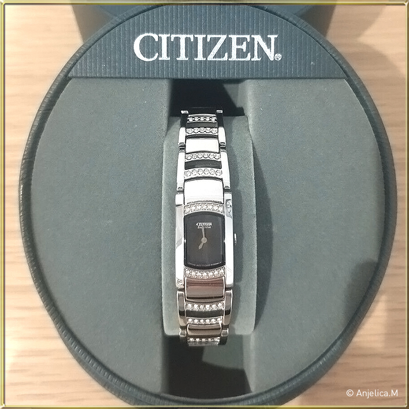 ★レア逆輸入★CITIZEN Eco-Drive Black Dial Ladies Watch