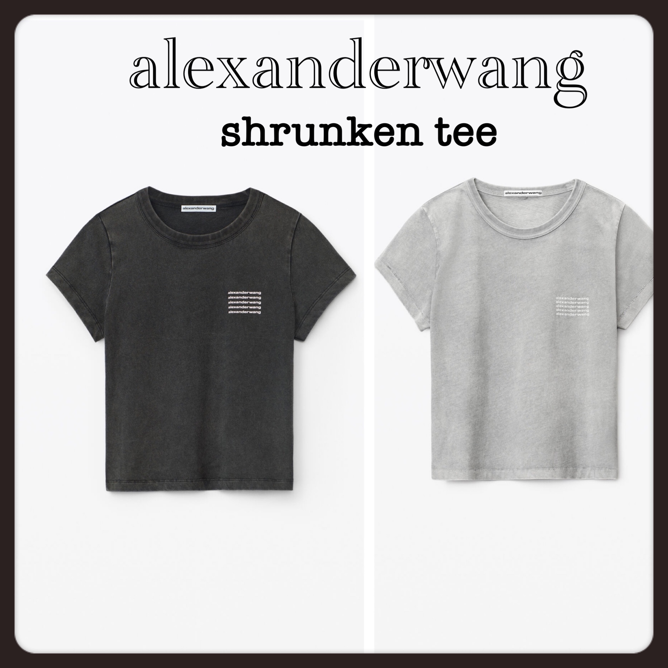 alexanderwang shrunken アシッドウォッシュ ロゴ Tシャツ