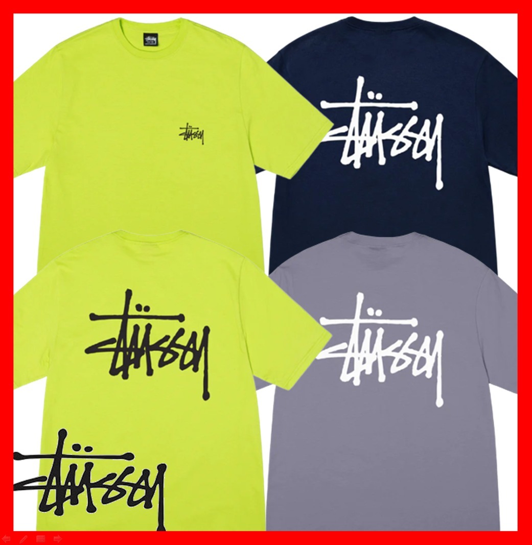★韓国の人気★【STUSSY】★BASIC STUSSY TE.E★Tシャツ★