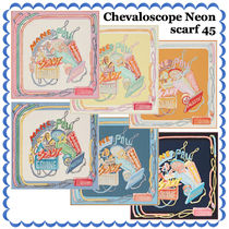 HERMES スカーフ Chevaloscope Neon scarf 45 直営店ラッピング