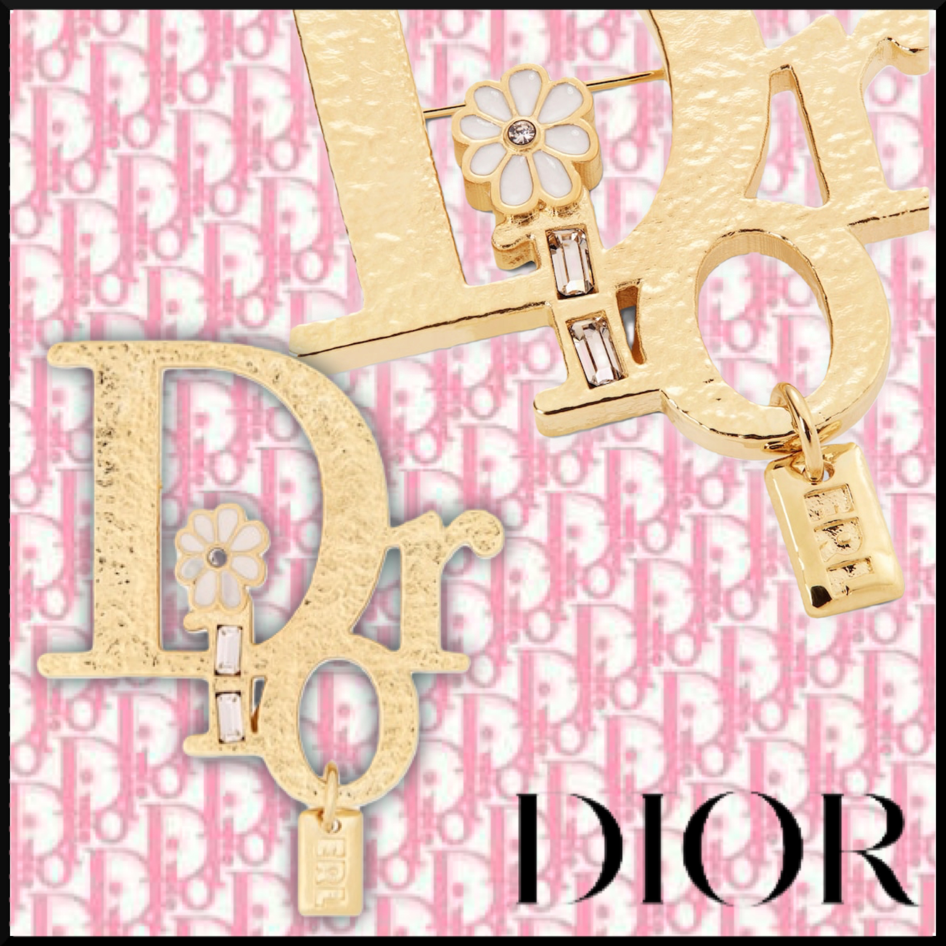 完成品 限定コラボ☆Dior DIOR ゴールドトーン 希少 ブローチ ERL BY