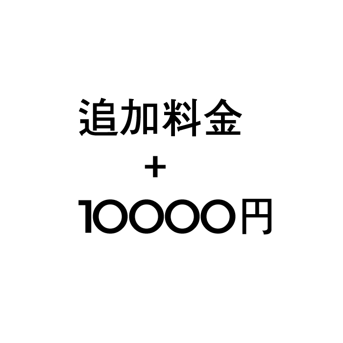 追加料金+10000円