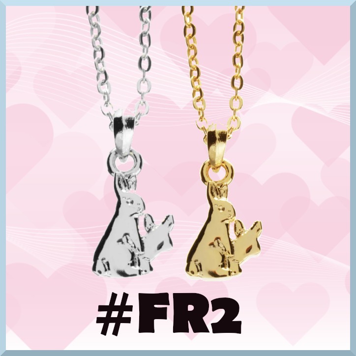 ♯FR２ アイコン ラビット チェーンネックレス