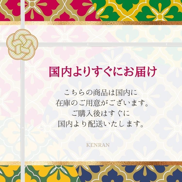 国内発送/すぐ届く《Hermes》ツイリー エンリベルテ 可愛い犬柄