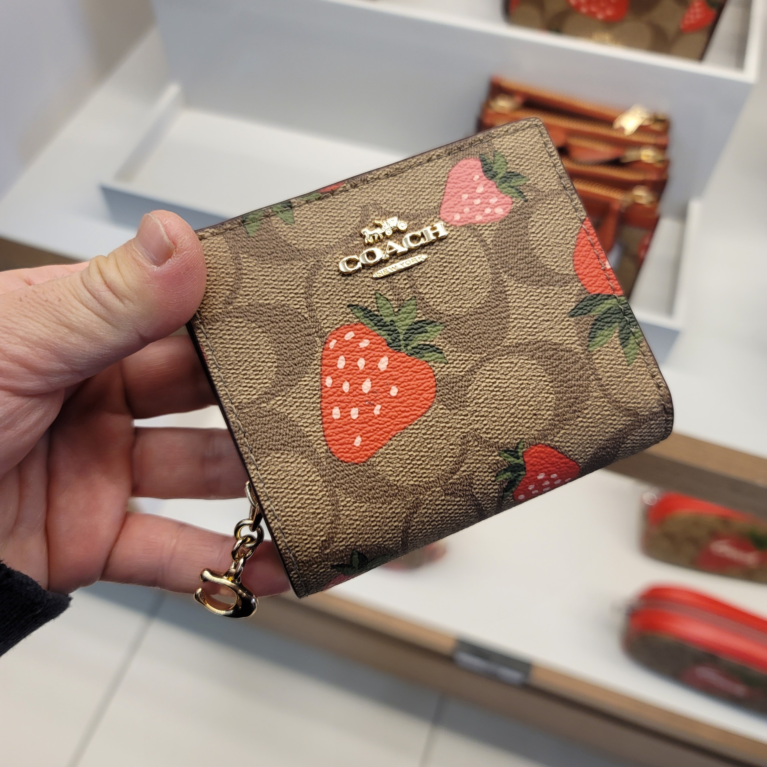 Coach (コーチ) 折りたたみ財布 レディース 2023 SS(春夏)