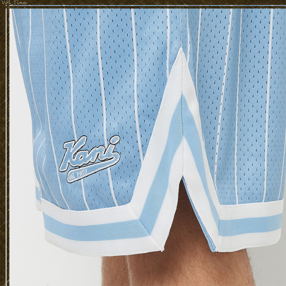 Karl Kani★ Pinstripe Mesh ショートパンツ Karl Kani Small Signature Pinstripe Mesh Shorts white/black