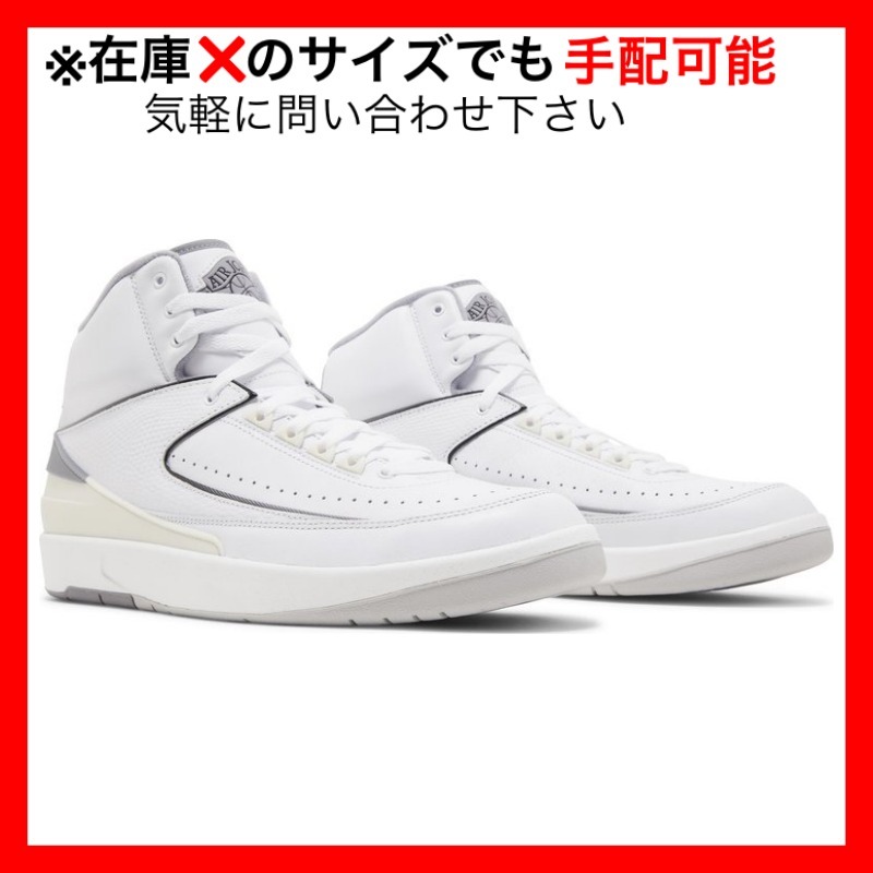 Nike Air Jordan 2 Retro Cement Grey ジョーダン グレー